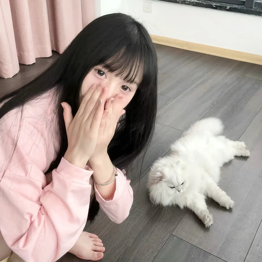 舰队收藏 剧场版